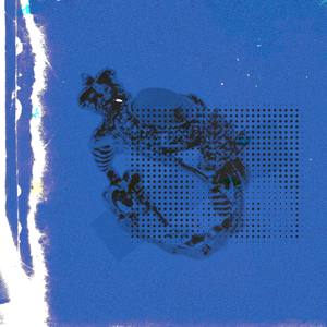 91精彩视频在线观看
